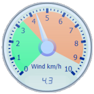 Wind Gauge